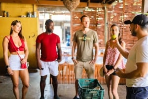 Playa del Carmen: tour a piedi del cibo locale di 3 ore