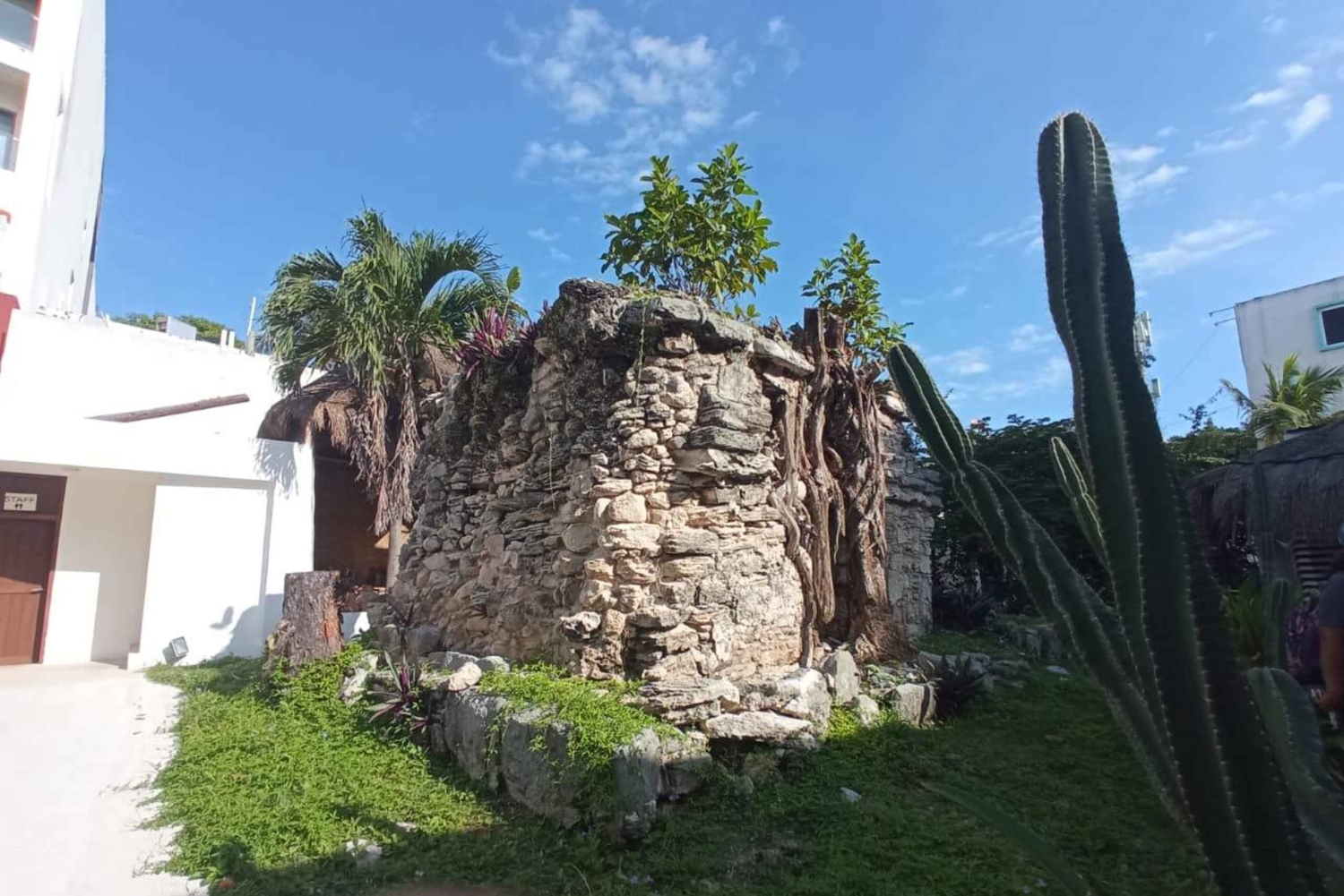 Playa del Carmen: tour sensorial por la memoria culinaria de México