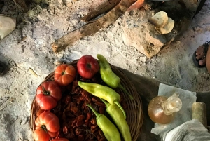 Playa del Carmen: tour sensorial por la memoria culinaria de México