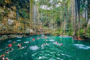 Playa del Carmen: Excursión a Chichén Itzá, Valladolid y Cenote