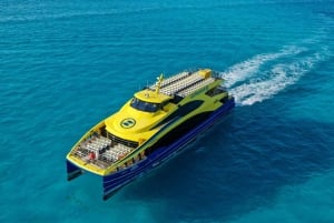 Playa del Carmen: Tour nach Cozumel mit Mittagessen