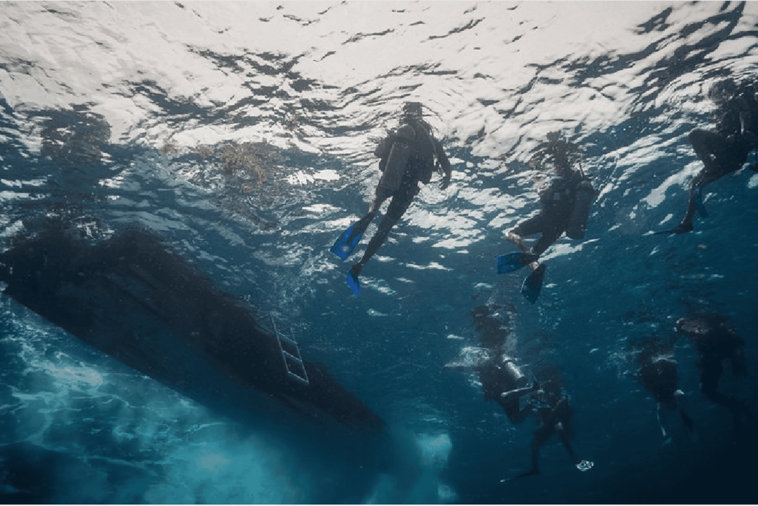 Playa del Carmen: Discover Scuba Diving