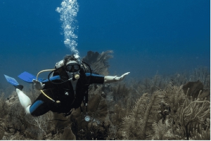 Playa del Carmen: Discover Scuba Diving