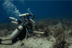 Playa del Carmen: Discover Scuba Diving