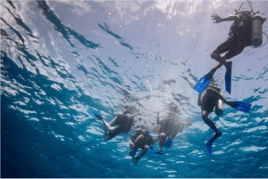 Playa del Carmen: Discover Scuba Diving