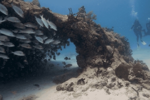 Playa del Carmen: Discover Scuba Diving