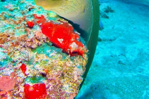 Playa del Carmen: Discover Scuba Diving