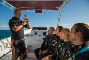 Playa del Carmen: Discovery Scuba Diving - Non Certified