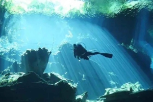 Playa del Carmen: Tauchen in der Cenote Dos Ojos