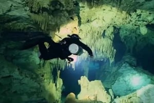 Playa del Carmen: Diving in Cenotes The Pit and Dos Ojos