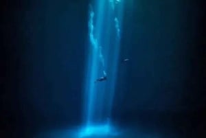 Playa del Carmen: Diving in Cenotes The Pit and Dos Ojos