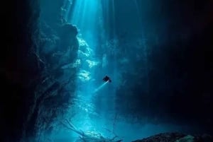 Playa del Carmen: Diving in Cenotes The Pit and Dos Ojos