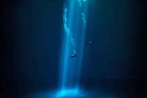 Playa del Carmen: Tauchen in den Cenoten The Pit und Dos Ojos