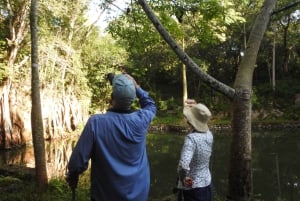 Playa del Carmen: Guided Birdwatching Hike