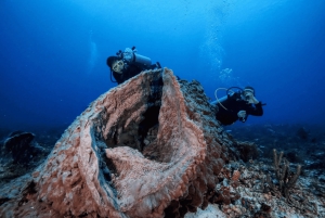 Playa del Carmen: Guided Reef Diving for Certified Divers