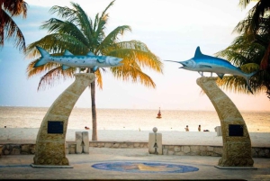 Playa del Carmen: Isla Mujeres Obegränsad Open Bar Katamaran