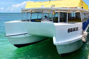 Playa del Carmen: Isla Mujeres Obegränsad Open Bar Katamaran