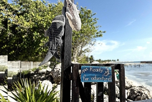 Playa del Carmen: Isla Mujeres Obegränsad Open Bar Katamaran