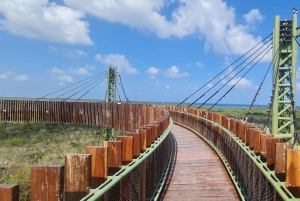 Playa del Carmen: ATV i maya-junglen, Cenote og svævebane
