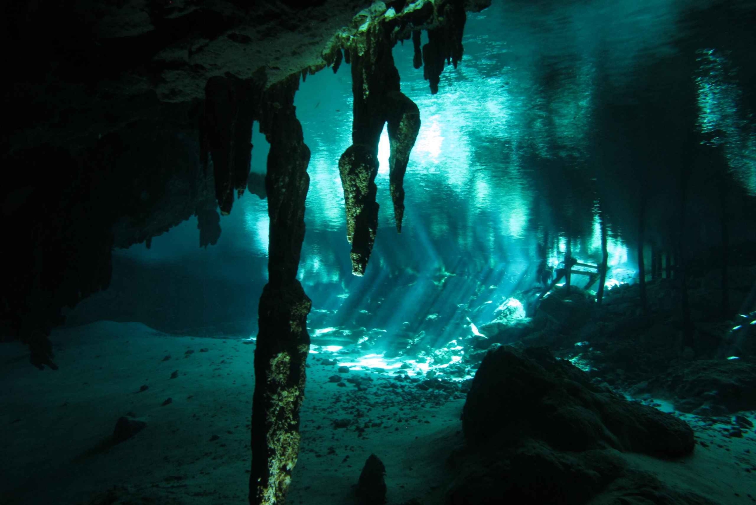 Playa del Carmen: Häpnadsväckande dykning vid Cenote Dos Ojos