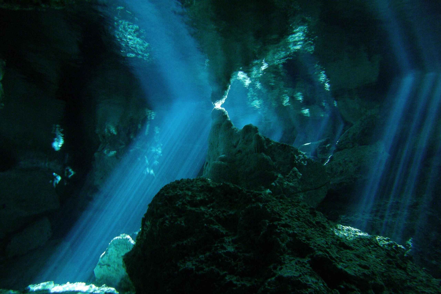 Playa del Carmen: Mind-Blowing Diving at Cenote Dos Ojos