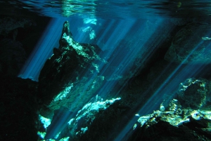 Playa del Carmen: Mind-Blowing Diving at Cenote Dos Ojos
