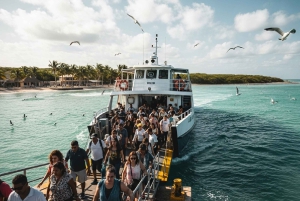 Playa del Carmen: One way shared transfer to Chiquila