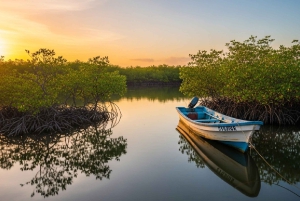 Playa del Carmen: One way shared transfer to Chiquila