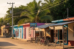 Playa del Carmen: One way shared transfer to Chiquila