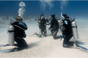 Playa del Carmen: Open Water Diver Course