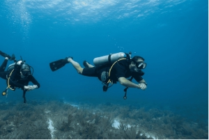 Playa del Carmen: Open Water Diver Course