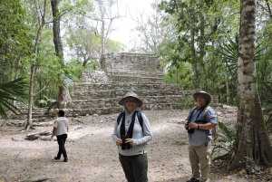 Playa del Carmen: Private Morning Birdwatching Tour
