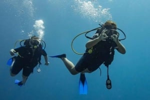 Playa del Carmen: Auffrischungstauchgang