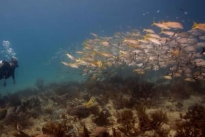 Playa del Carmen: Auffrischungstauchgang