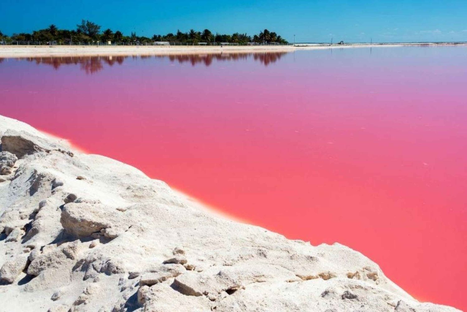 Playa del Carmen: Rio Lagartos en Las Coloradas Tour
