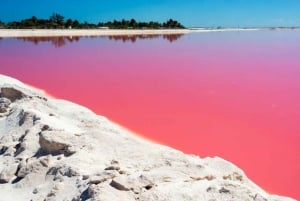 Playa del Carmen: Rio Lagartos en Las Coloradas Tour