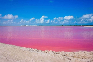 Playa del Carmen: Rio Lagartos en Las Coloradas Tour