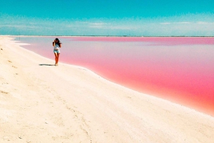 Playa del Carmen: Rio Lagartos en Las Coloradas Tour