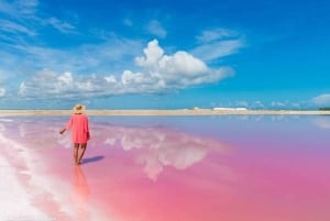 Playa del Carmen: Rio Lagartos en Las Coloradas Tour