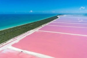 Playa del Carmen: Rio Lagartos en Las Coloradas Tour