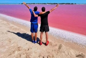 Playa del Carmen: Rio Lagartos en Las Coloradas Tour