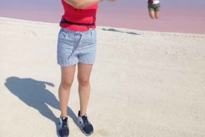 Playa del Carmen: Rio Lagartos en Las Coloradas Tour