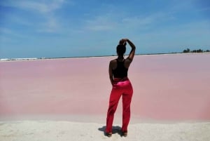 Playa del Carmen: Rio Lagartos en Las Coloradas Tour