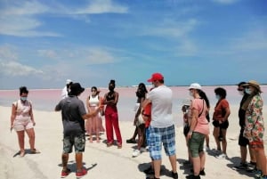 Playa del Carmen: Rio Lagartos en Las Coloradas Tour