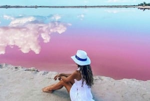 Playa del Carmen: Rio Lagartos en Las Coloradas Tour