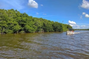 Playa del Carmen: Rio Lagartos en Las Coloradas Tour