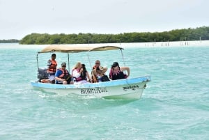 Playa del Carmen: Rio Lagartos en Las Coloradas Tour