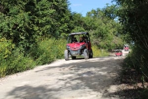 Playa del Carmen: Riviera Maya Buggy Tour with Cenote Swim