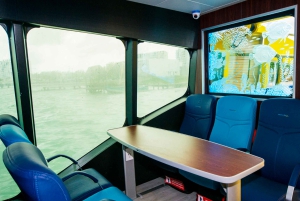 Playa Del Carmen: Retourticket voor veerboot van/naar Cozumel