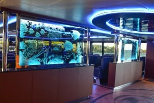 Playa Del Carmen: Retourticket voor veerboot van/naar Cozumel